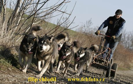 Hustopece 08 - 234.JPG